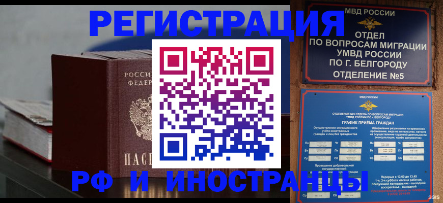 прописка 2025 в Губкине